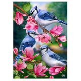 ‘Blue Jay Trio’ Decorative Flag