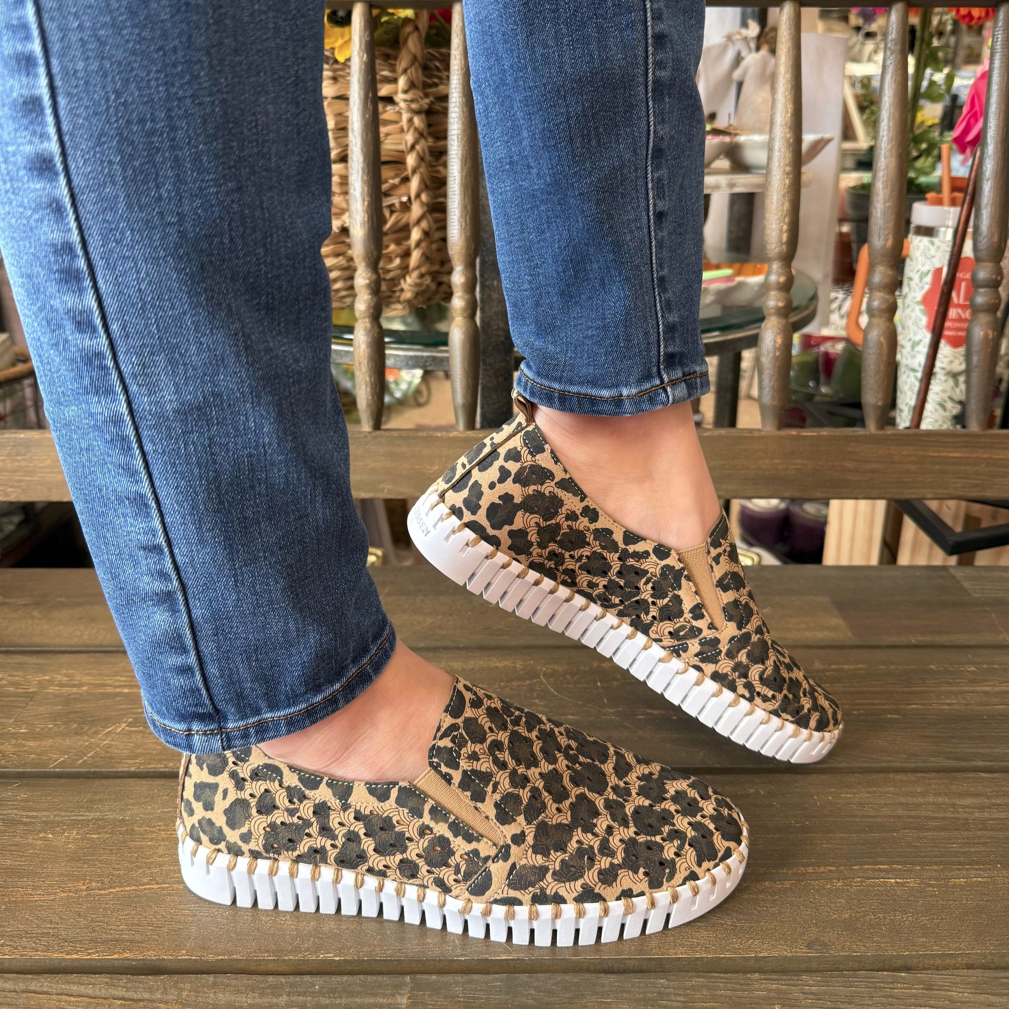 IENAステイタス LEOPARD FLAT A1623-M 37サイズ STATUS/ステイタス LEOPARD FLAT A1623-M（フラットシューズ）｜IENA