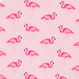SWIG “Flamingos” Boxxi 24 Cooler