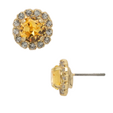 Sorrelli Haute Halo Stud Earrings in Light Topaz