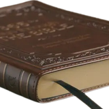 365 Days Through The Bible: A Devotional Journey