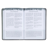 Pocket Bible Devotional for Guys, Faux Leather