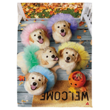 ‘Pet Central Puppy Ballerinas’ Decorative Flag