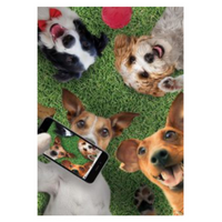 ‘Camera Dogs’ Decorative Flag