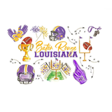 SWIG “Tailgates in Baton Rouge” 24oz Plastic Tumbler