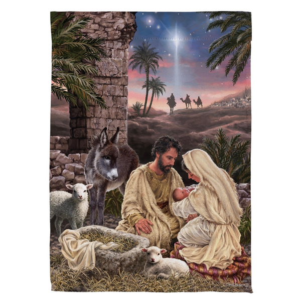 ‘Brilliant Nativity’ Decorative Flag