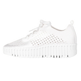 Ilse Jacobsen Tulip4271 Platform Lace-Up, Assorted Colors