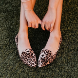 ROLLASOLE, Into The Wild Flats