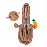 Giddy’s Porch Goose Outfit, Everyday Bunny