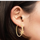 SORRELLI Rehoboth Hoop Earring