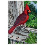 ‘Cardinal on Fence’ Decorative Flag