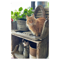 ‘Cat on Bench’ Decorative Flag