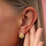 SORRELLI Haute Halo Dangle Earrings in Light Topaz