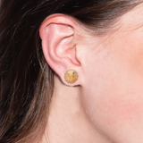 SORRELLI  Regal Rivoli Stud Earrings in Light Colorado