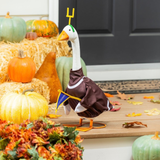 Giddy’s Porch Goose Outfit, Football Post