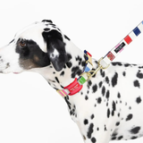 CASE-MATE, Kate Spade Dog Collar AirTag Case, Seaside Strip
