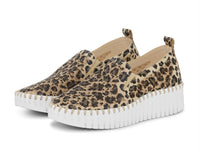 Ilse Jacobsen Tulip 4033 Platform In Leopard