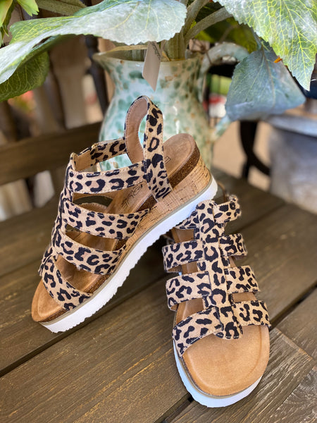 Corkys Boutique “Fantasy” In Leopard