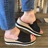 Toms “Diana” Mule In Black